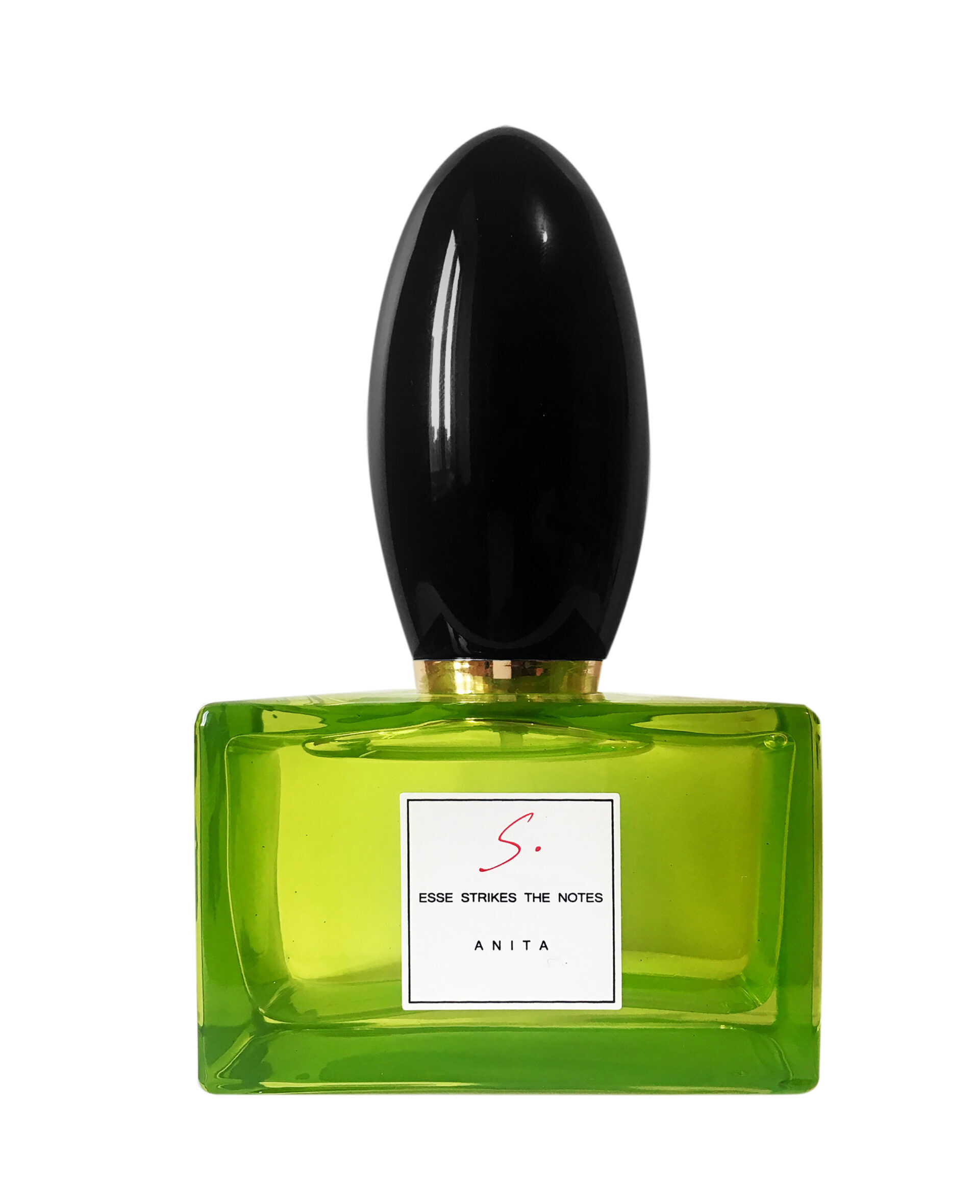 Esse Strikes The Notes - Anita