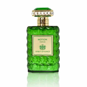 Spirit Of Kings - Notion